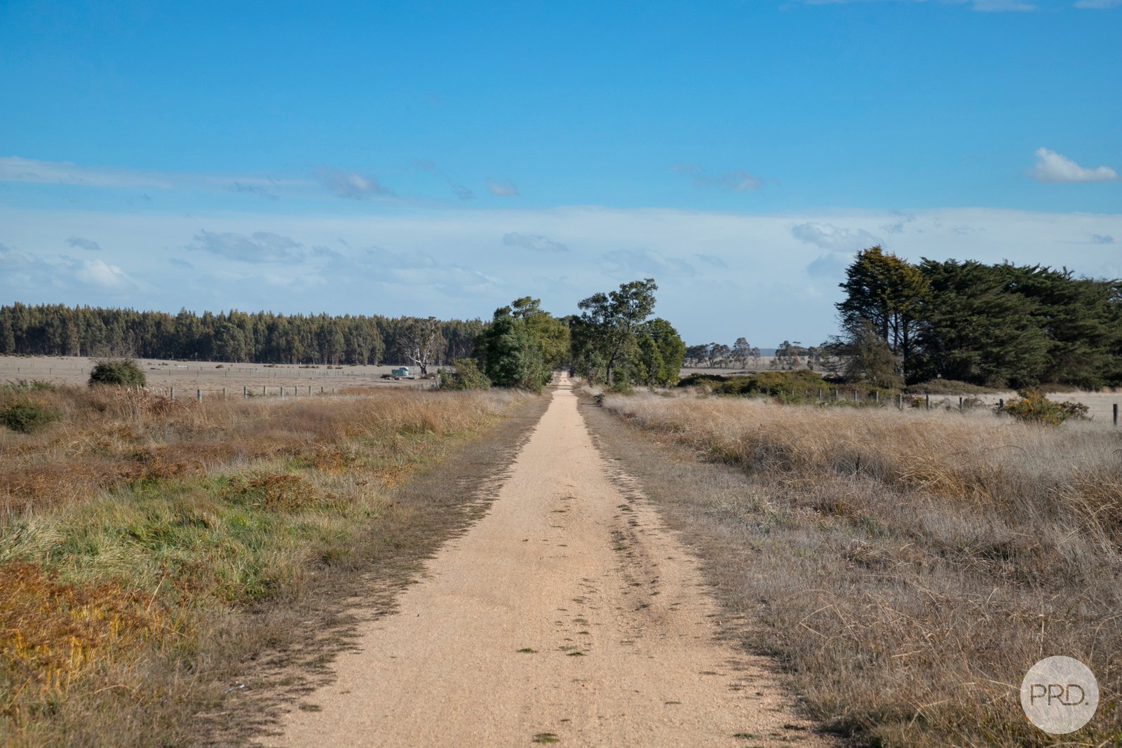 14 Goddard Street LUCAS 18