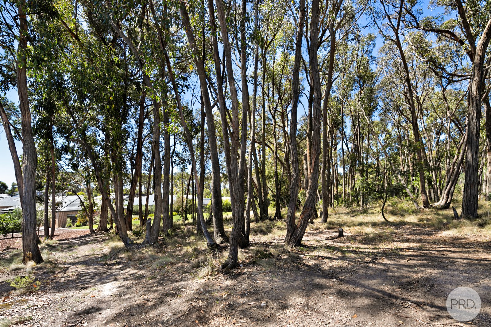 14 Greenhaven Court MOUNT CLEAR 20