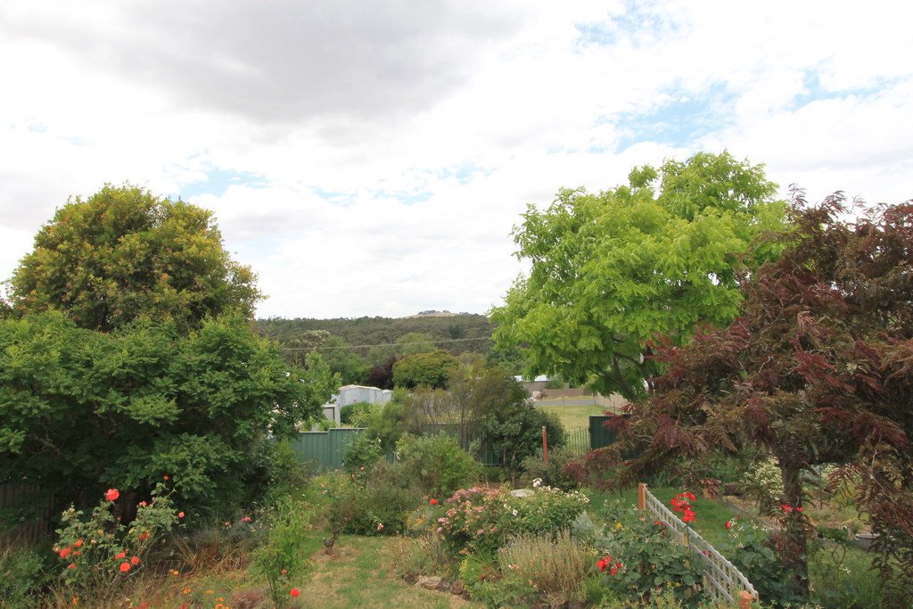 14 Hammon Street CRESWICK 11