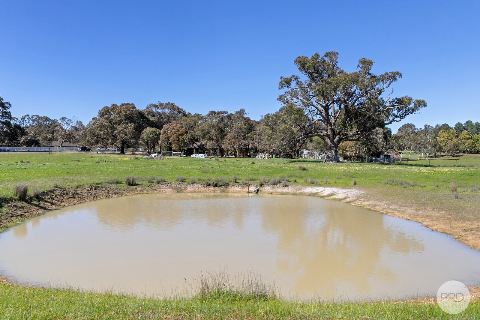 14 Heather Close SMYTHES CREEK 19