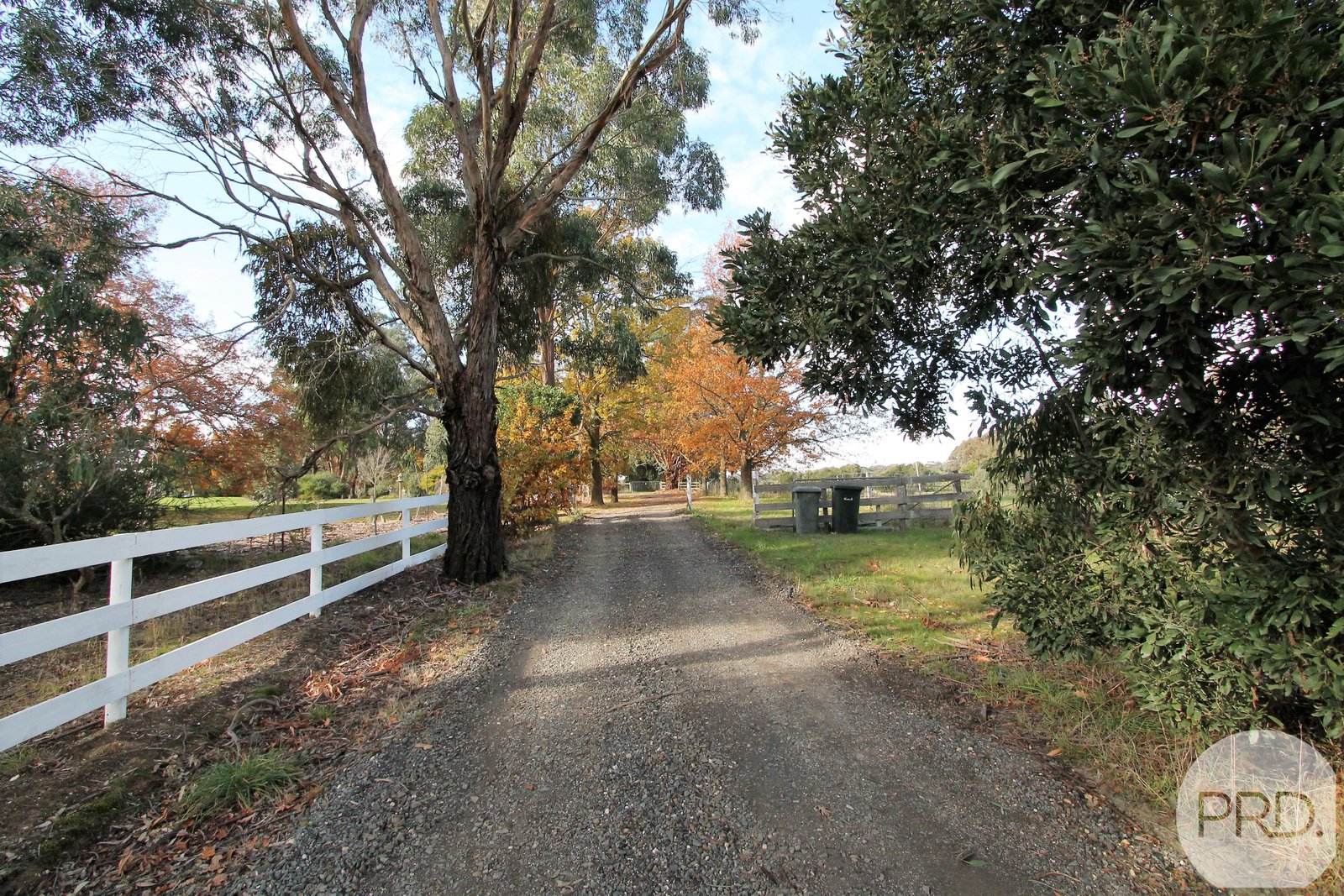 14 Hiscock Gully Road MOUNT HELEN 11