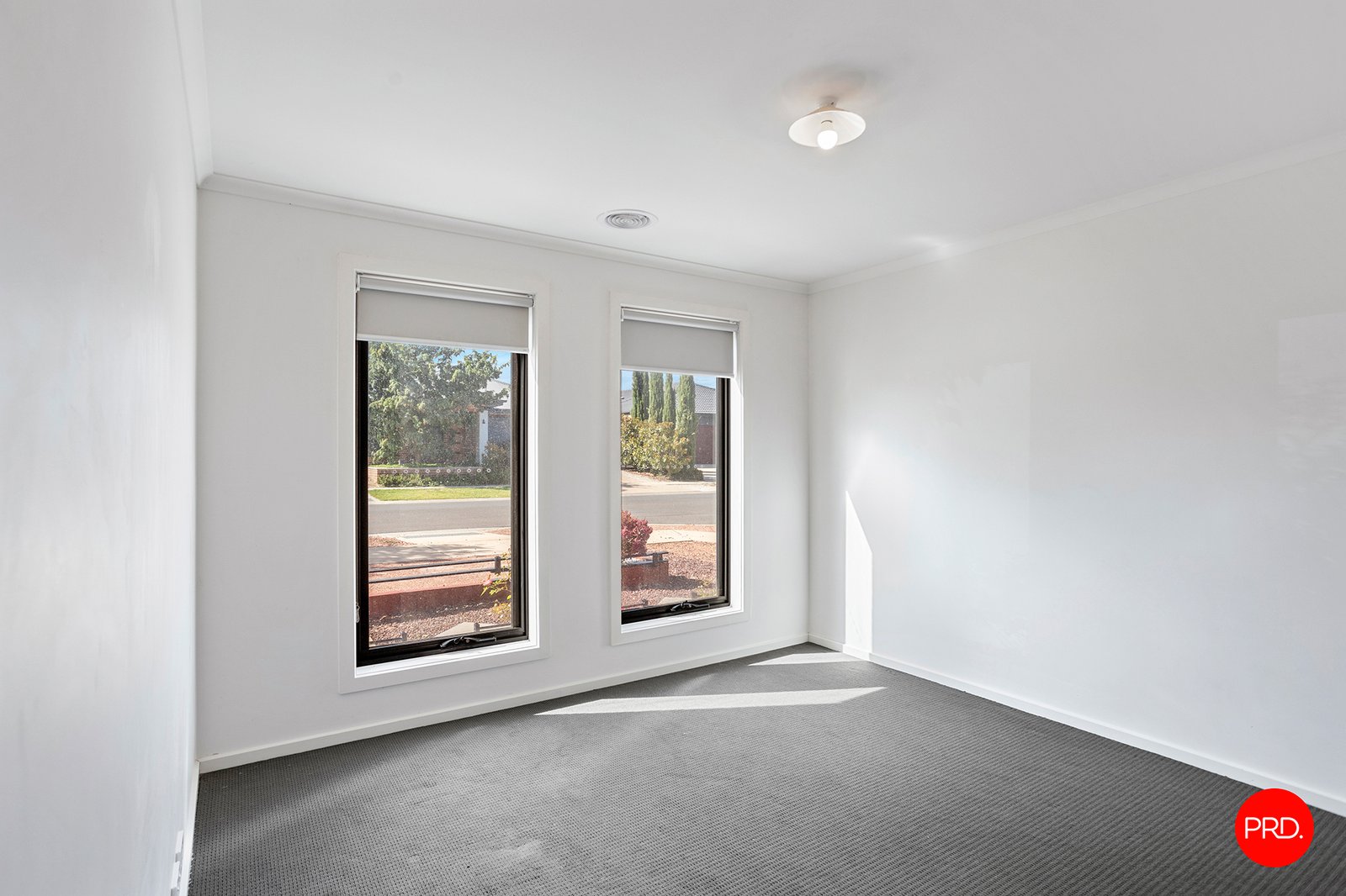 14 Hudson Street JACKASS FLAT 7