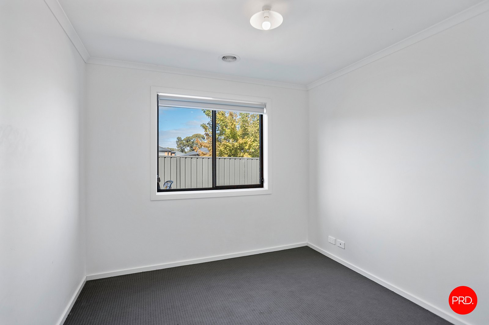 14 Hudson Street JACKASS FLAT 11