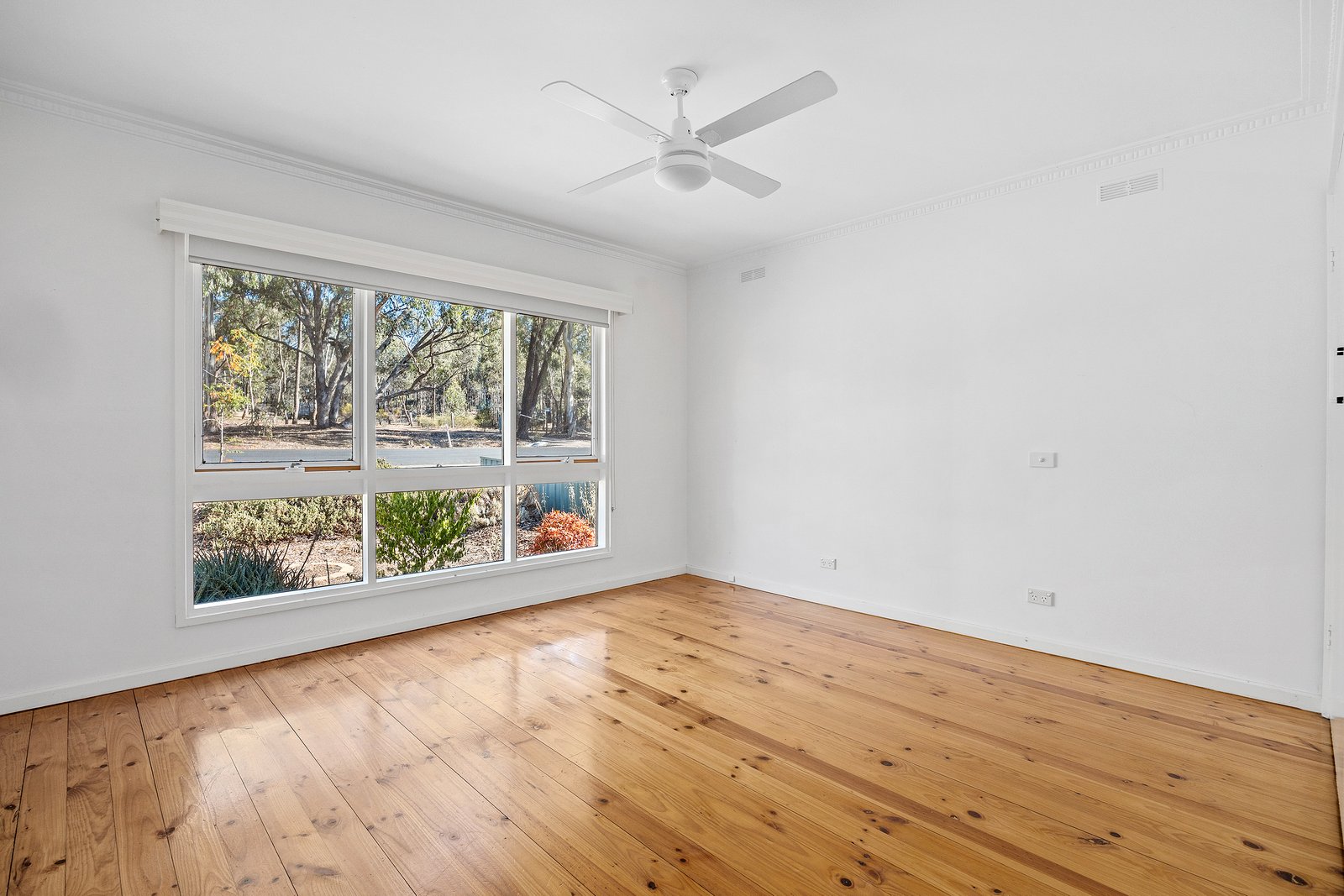 Gallery: 14 Jacob St
