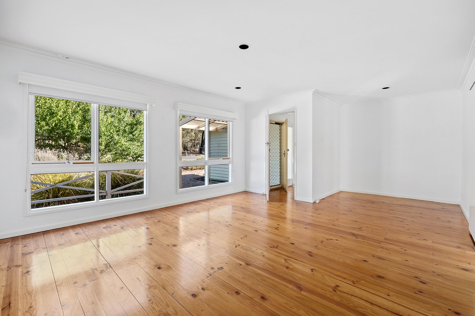 Gallery: 14 Jacob St