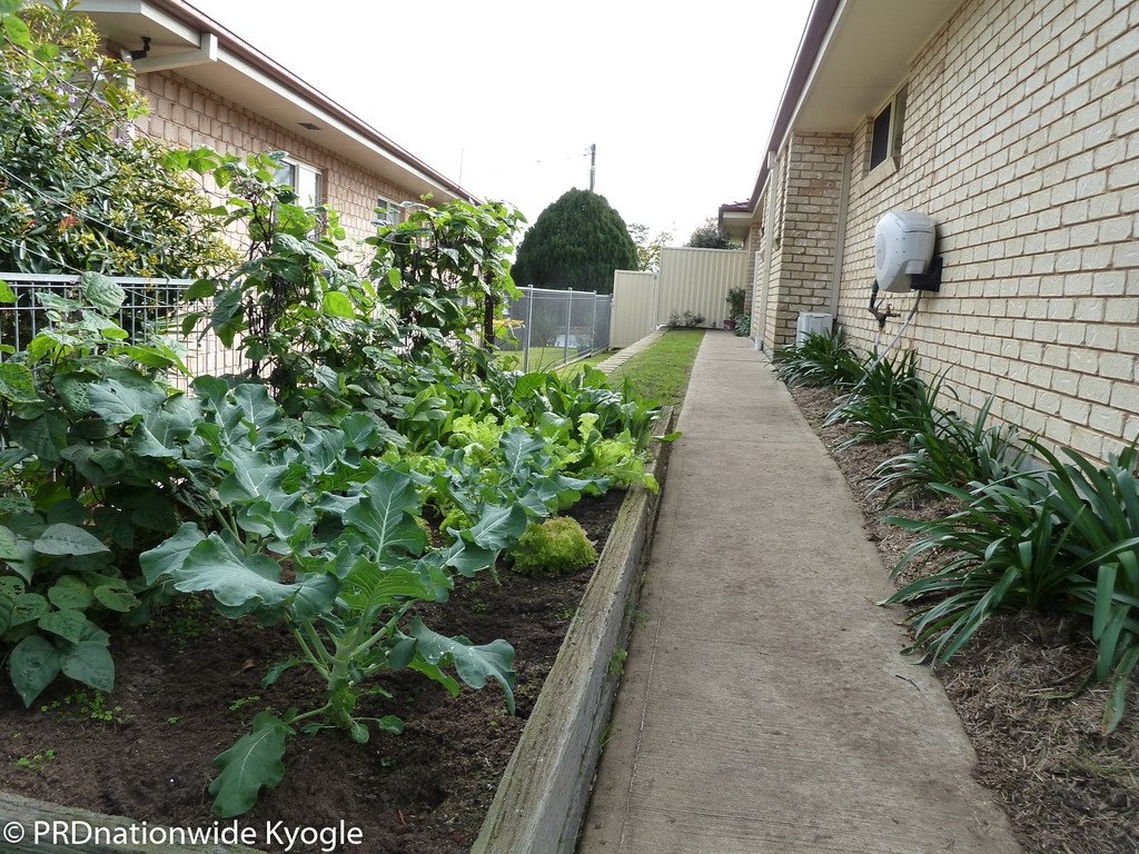 14 Kamala Avenue KYOGLE 22