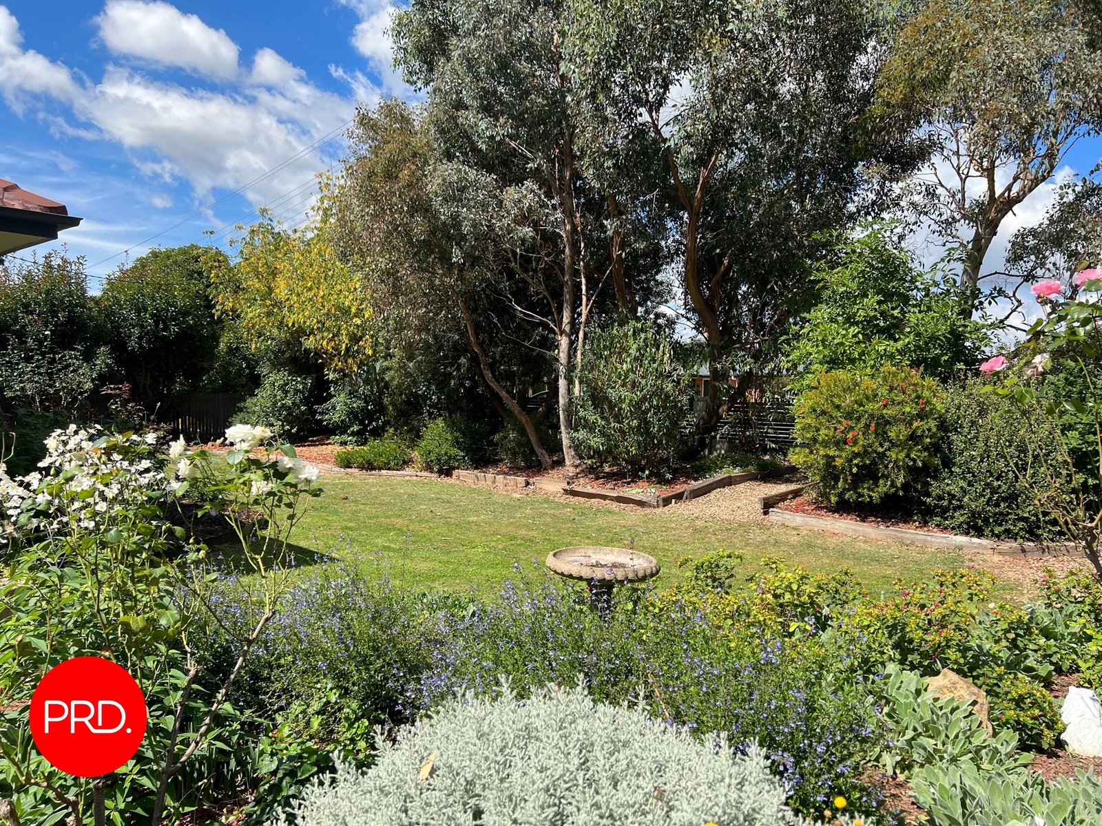 14 King Street BUNGENDORE 3