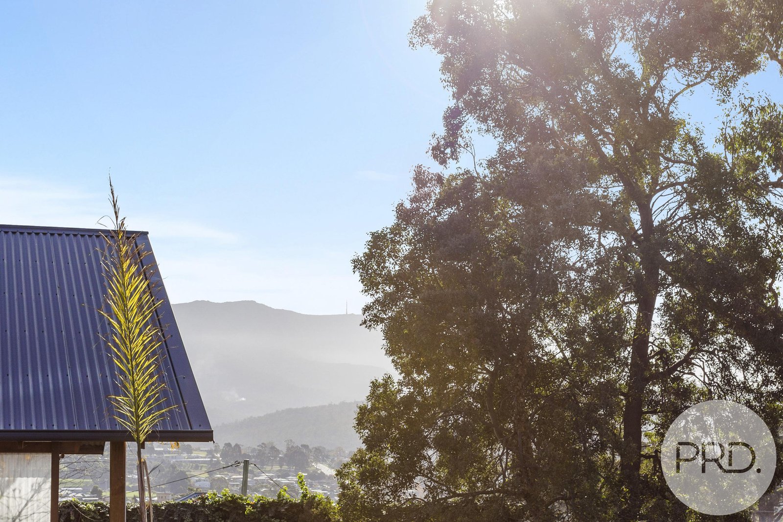 14 Lewan Avenue KINGSTON 16