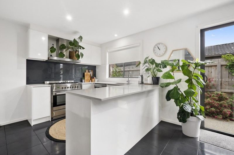 Gallery: 14 Melanic Street
