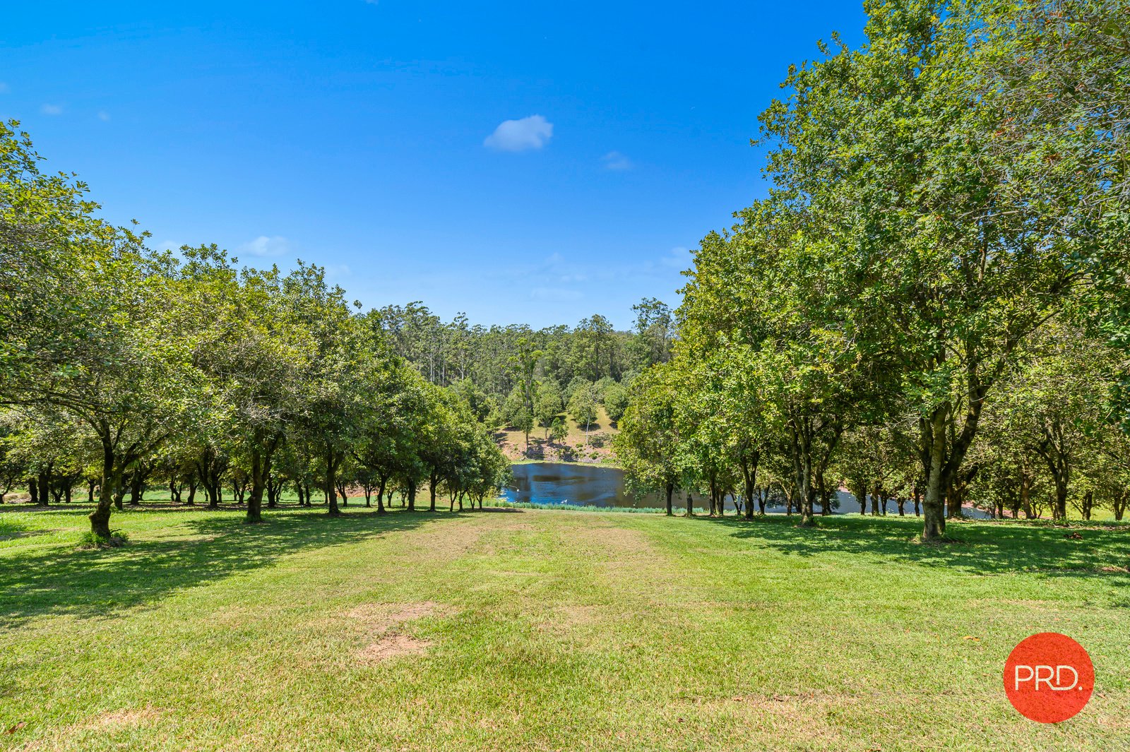 14 Morningside Drive VALLA 17