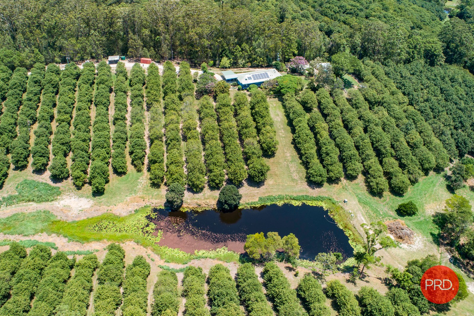 14 Morningside Drive VALLA 26