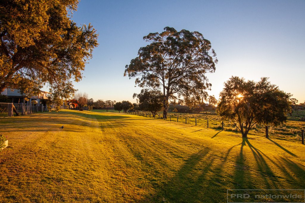 14 Morpeth Road EAST MAITLAND 6