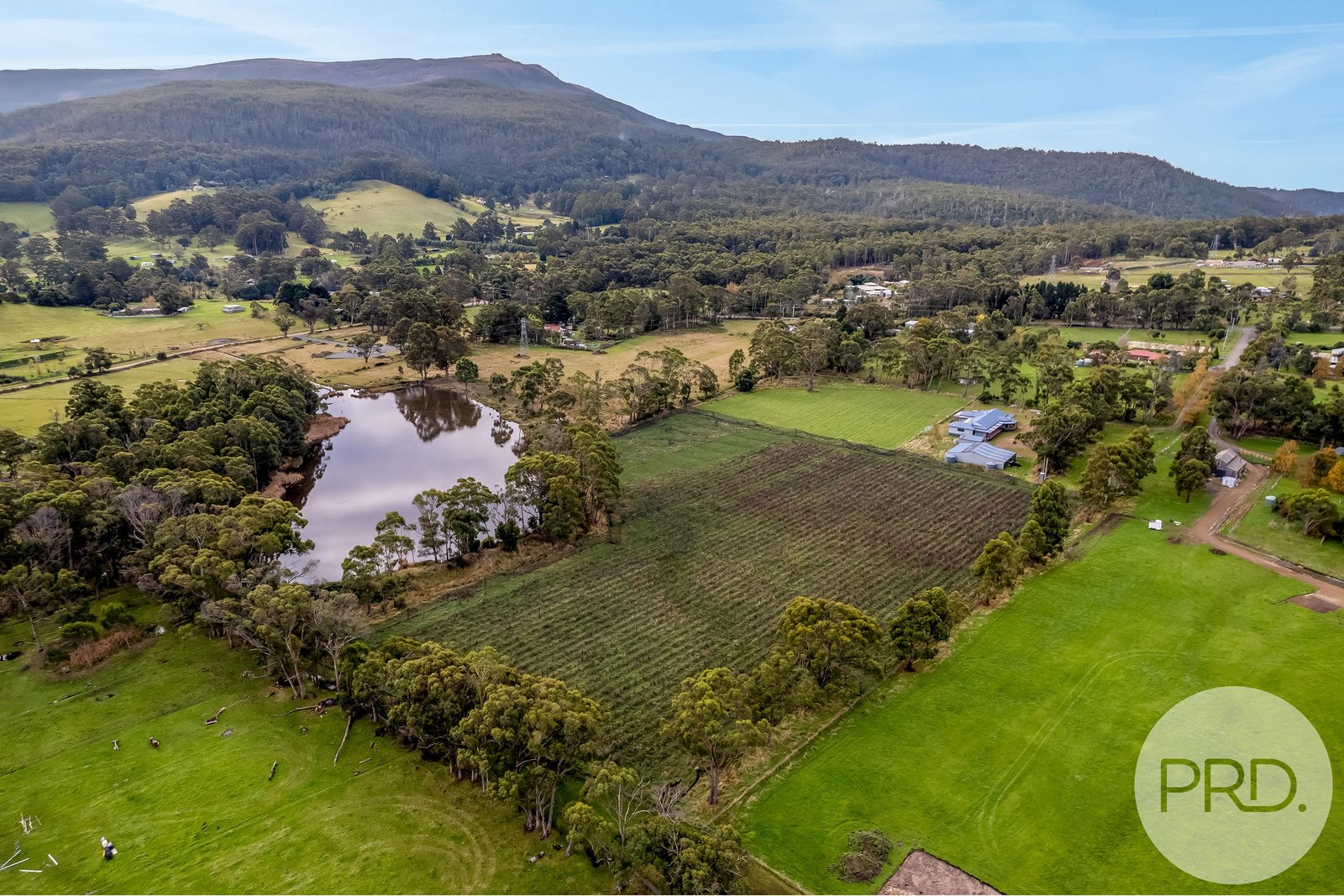14 Penola Drive LESLIE VALE 35