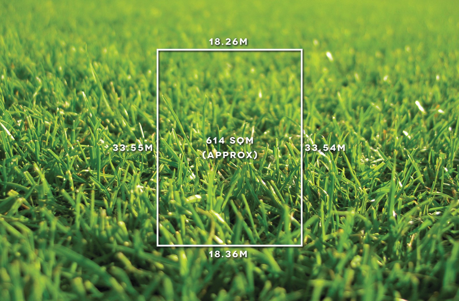 14 Peter Street, Box Hill North, VIC