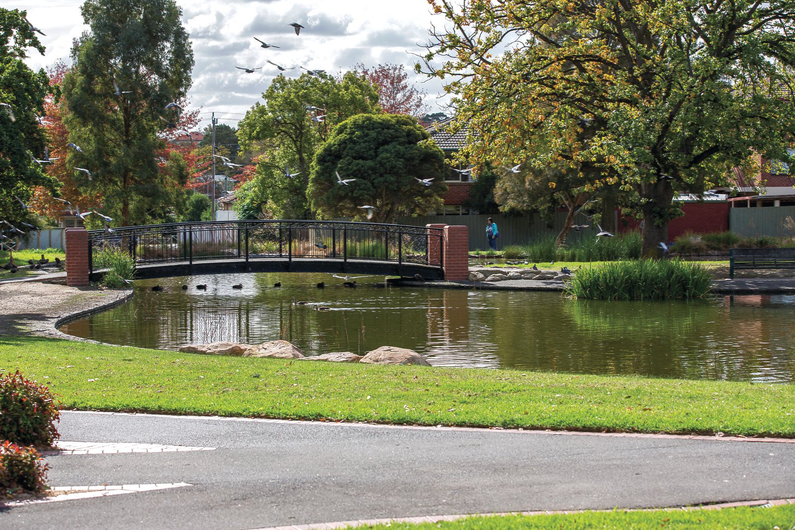 14 Peter Street, Box Hill North, VIC