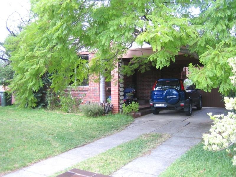Gallery: 14 Peterson Street