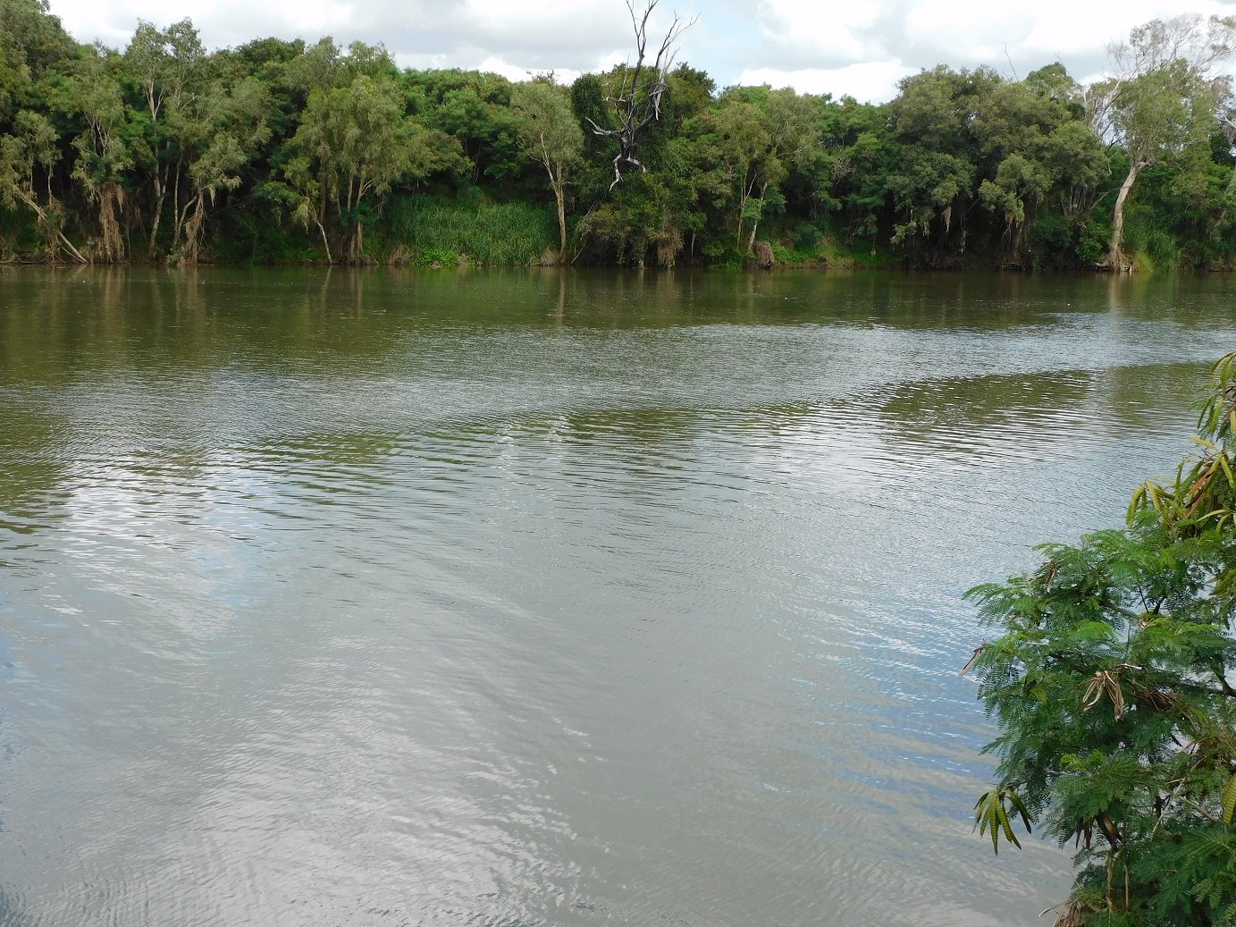 14 Vickers Road THOOPARA 3