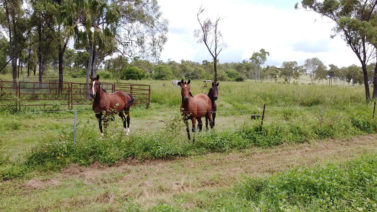 14 Vickers Road THOOPARA 6