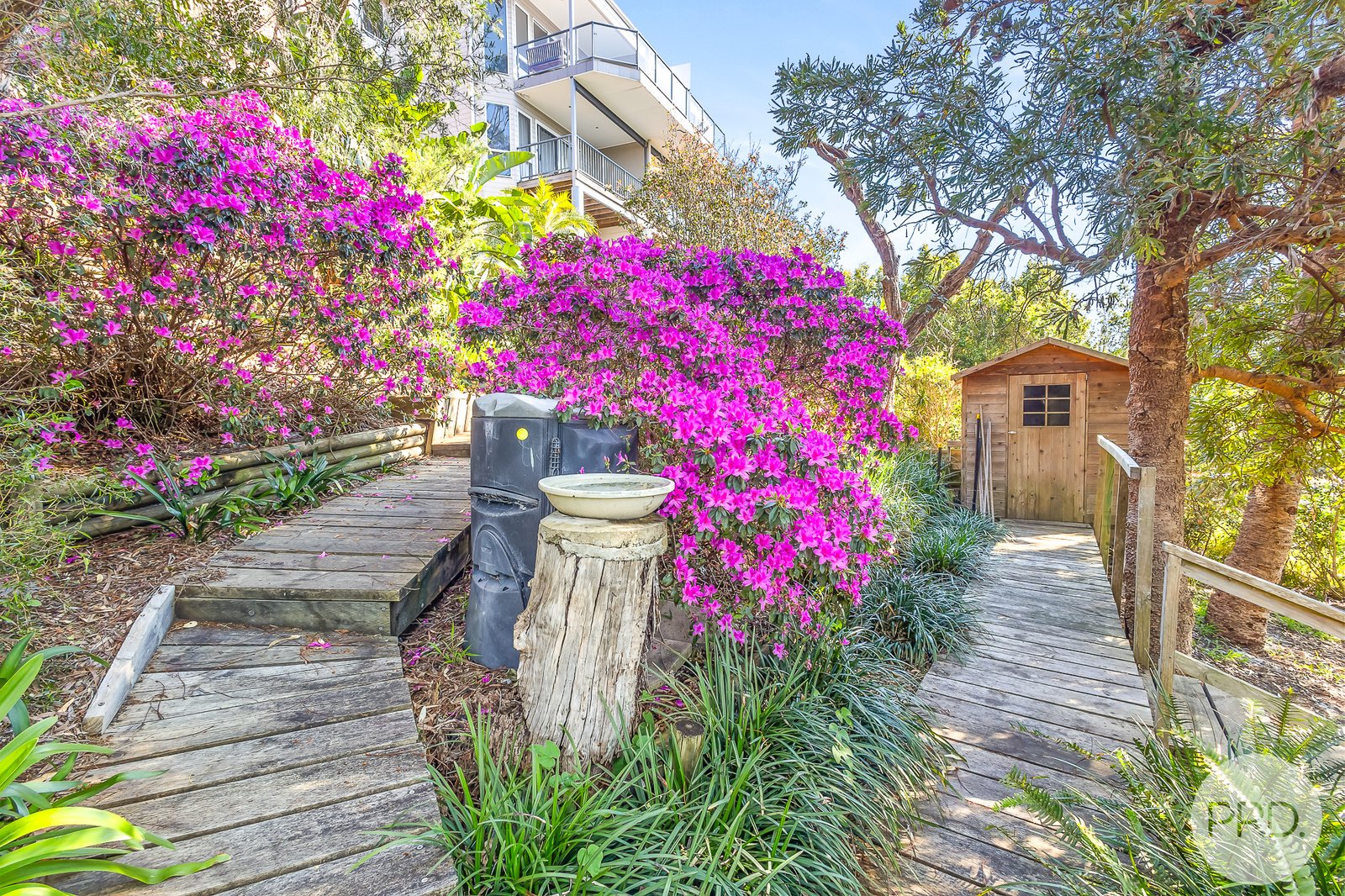 14 Wallawa Road NELSON BAY 22