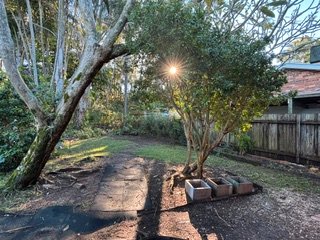 14 Warrawee Street SAPPHIRE BEACH 24