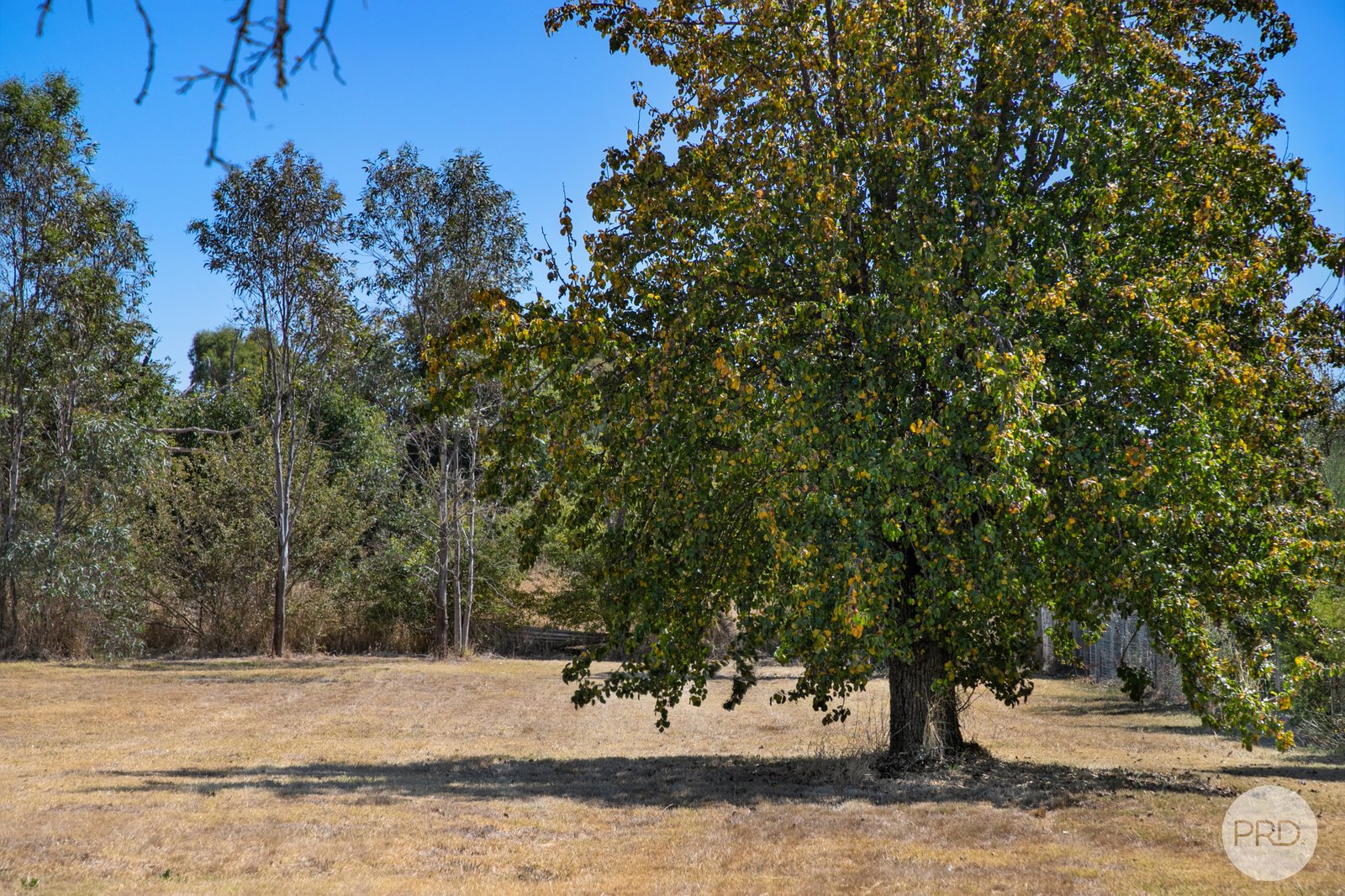 14 West Street CLUNES 10