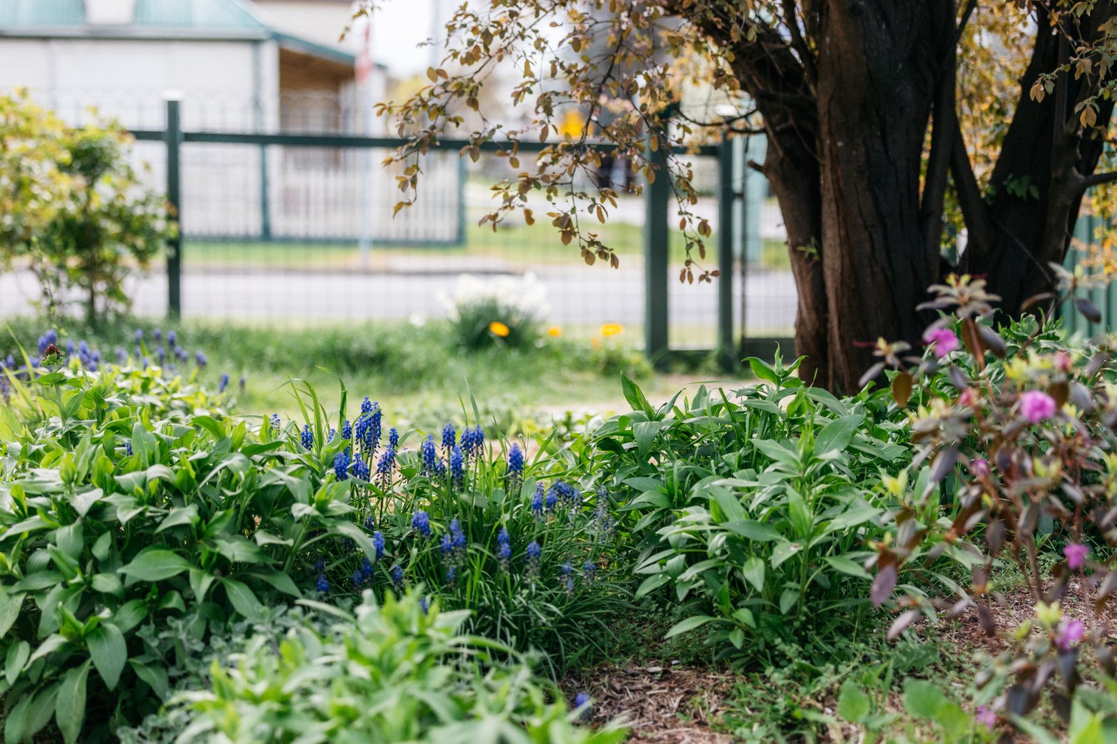 Real Estate and Property in 14 Wheatley Street, Kyneton, VIC