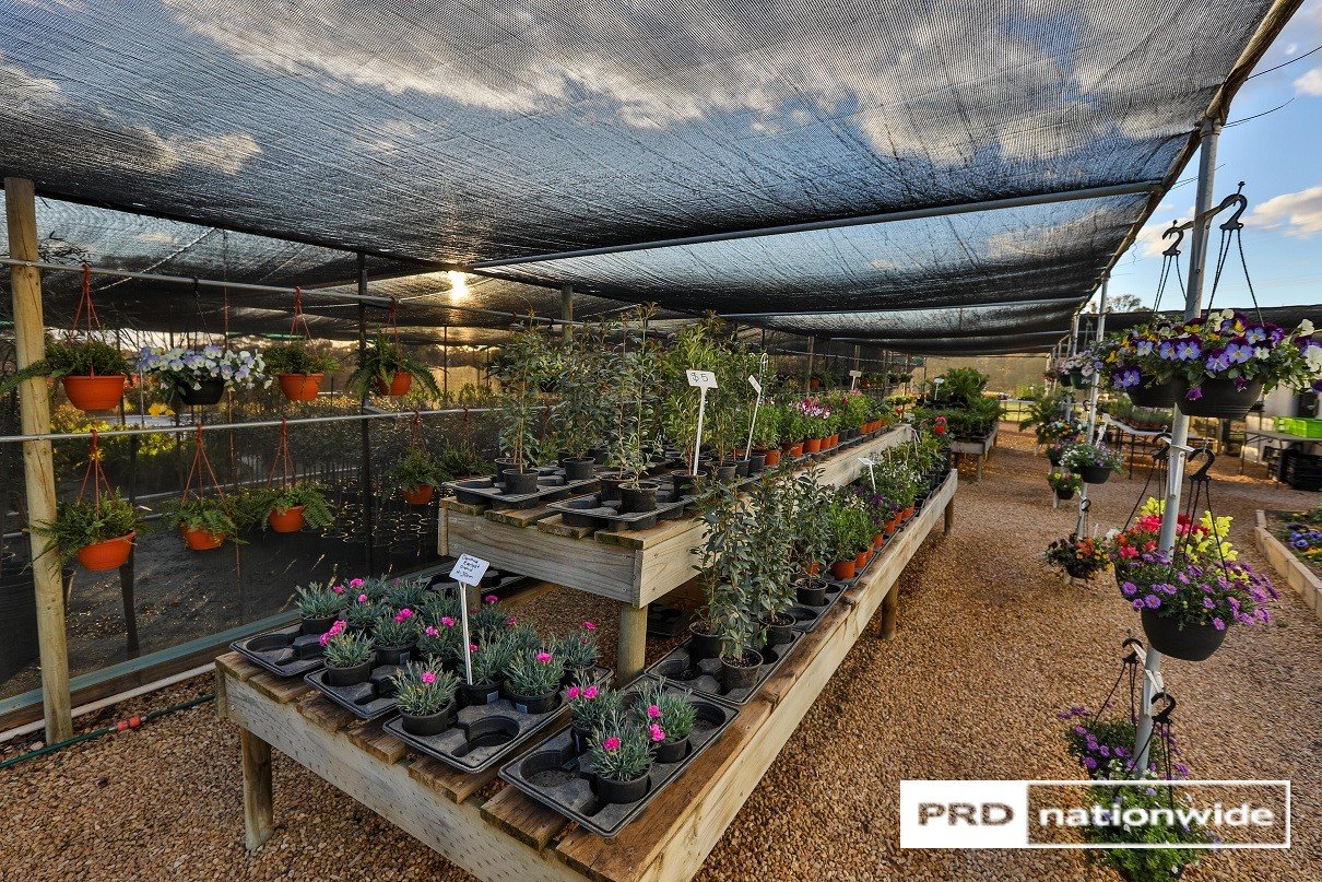 140 Dow Avenue CABARITA 10