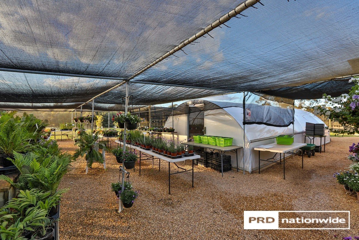 140 Dow Avenue CABARITA 11