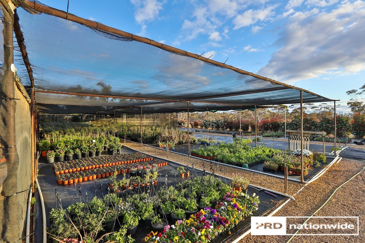 140 Dow Avenue CABARITA 13