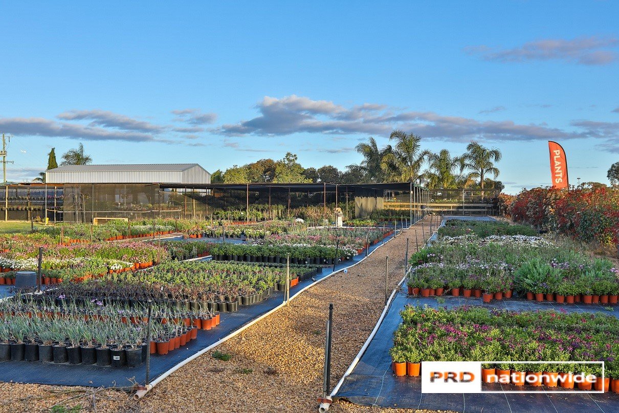 140 Dow Avenue CABARITA 14