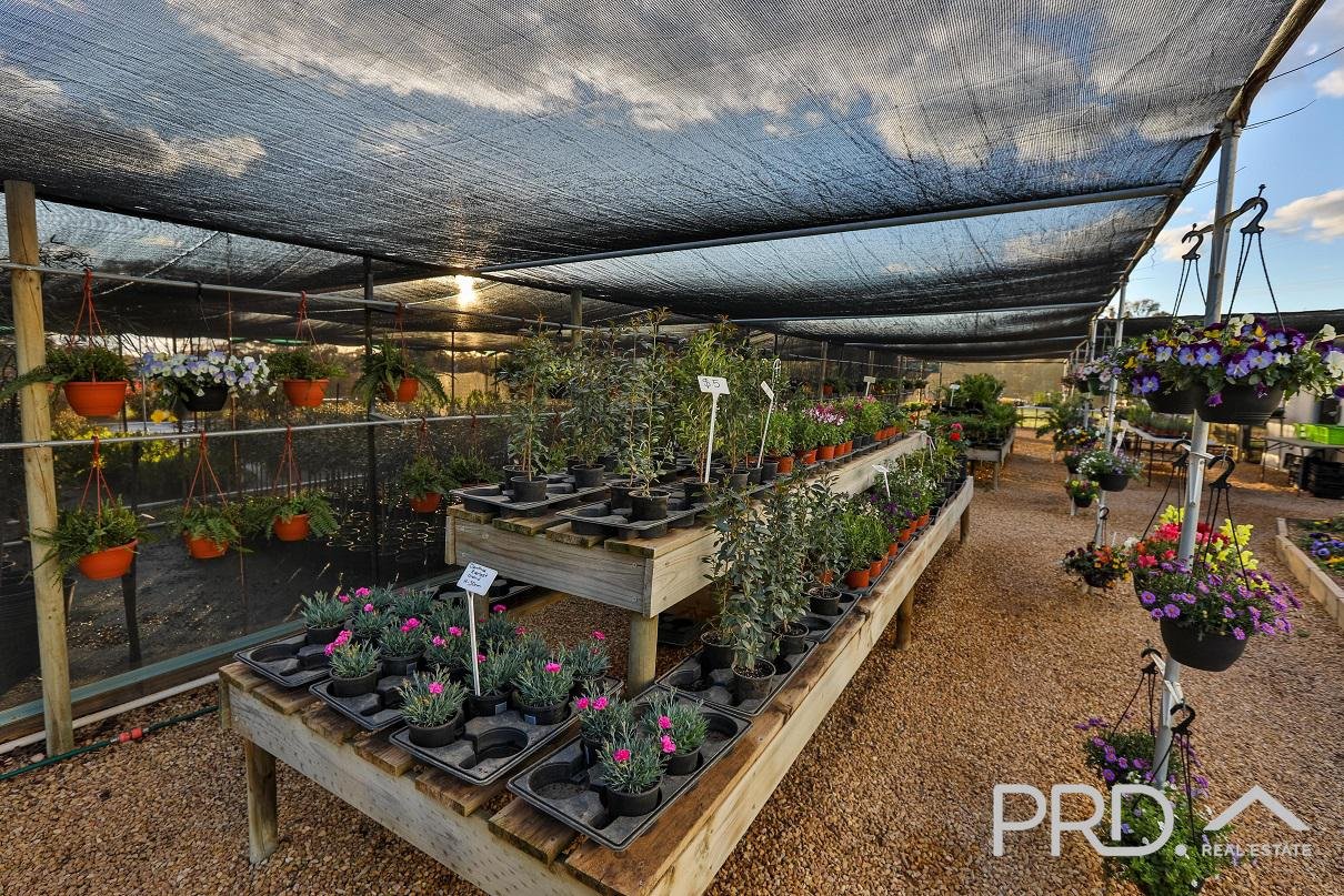 140 Dow Avenue,  CABARITA 33