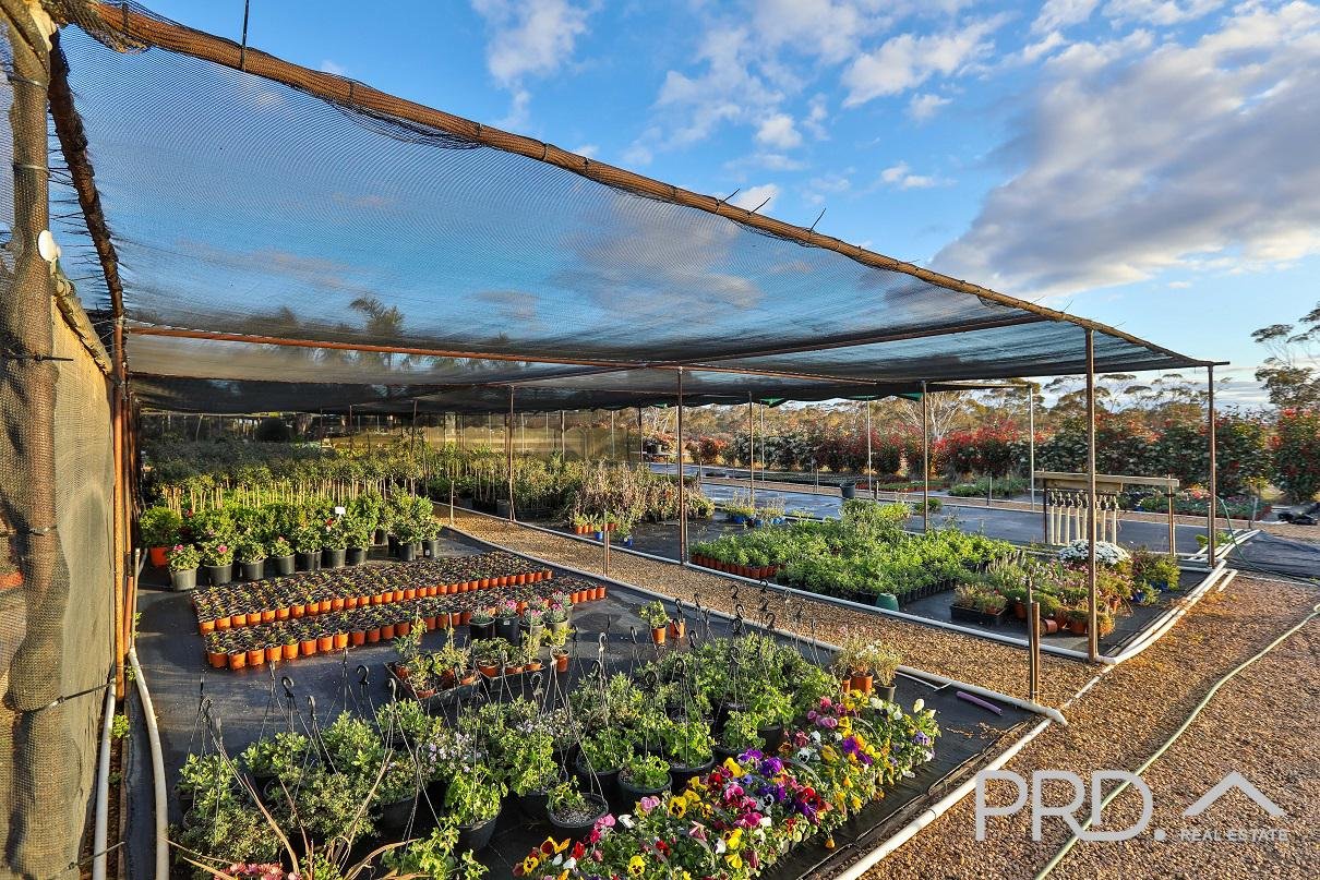 140 Dow Avenue,  CABARITA 35