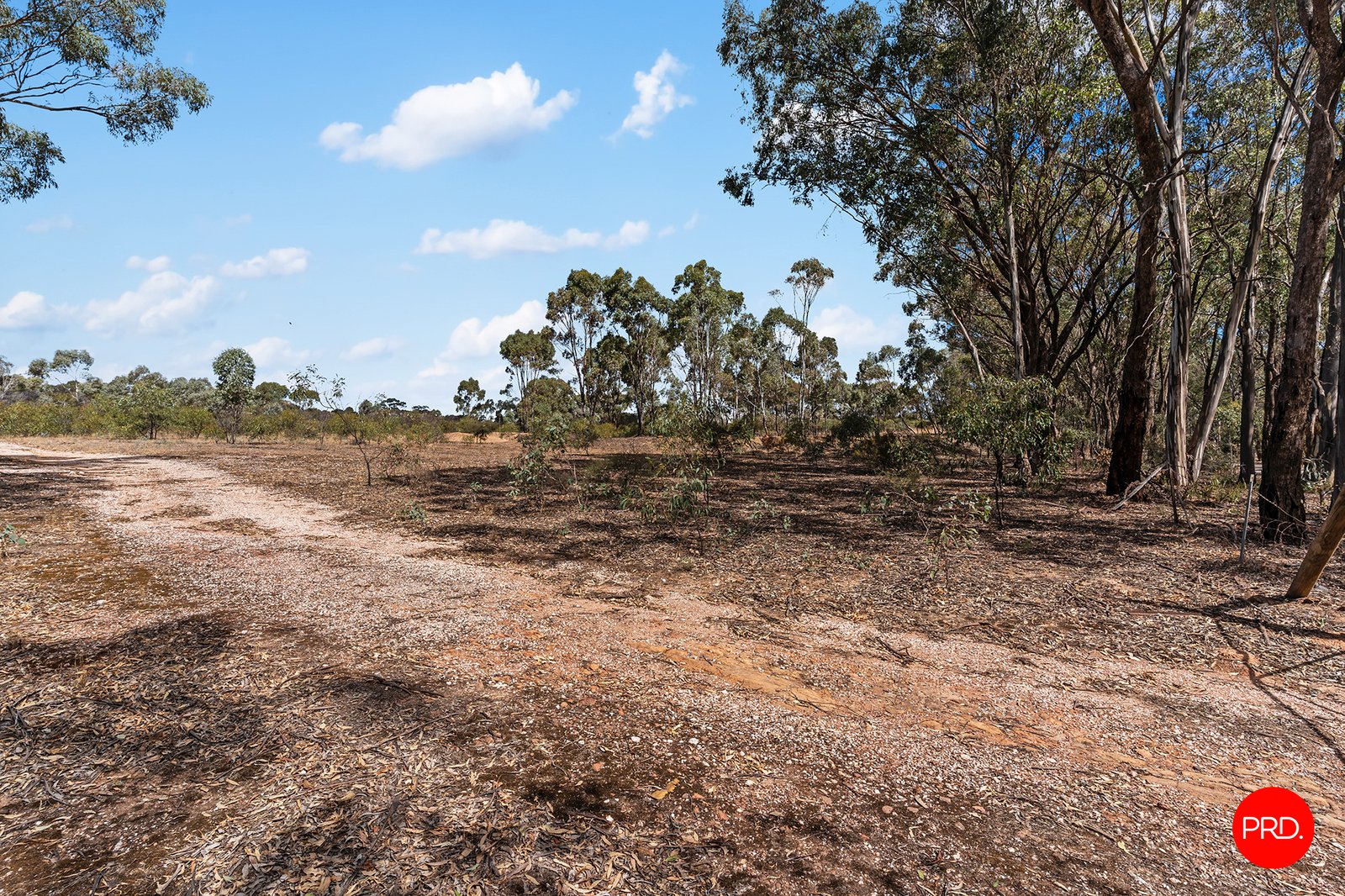 140 Forest Drive MYERS FLAT 4