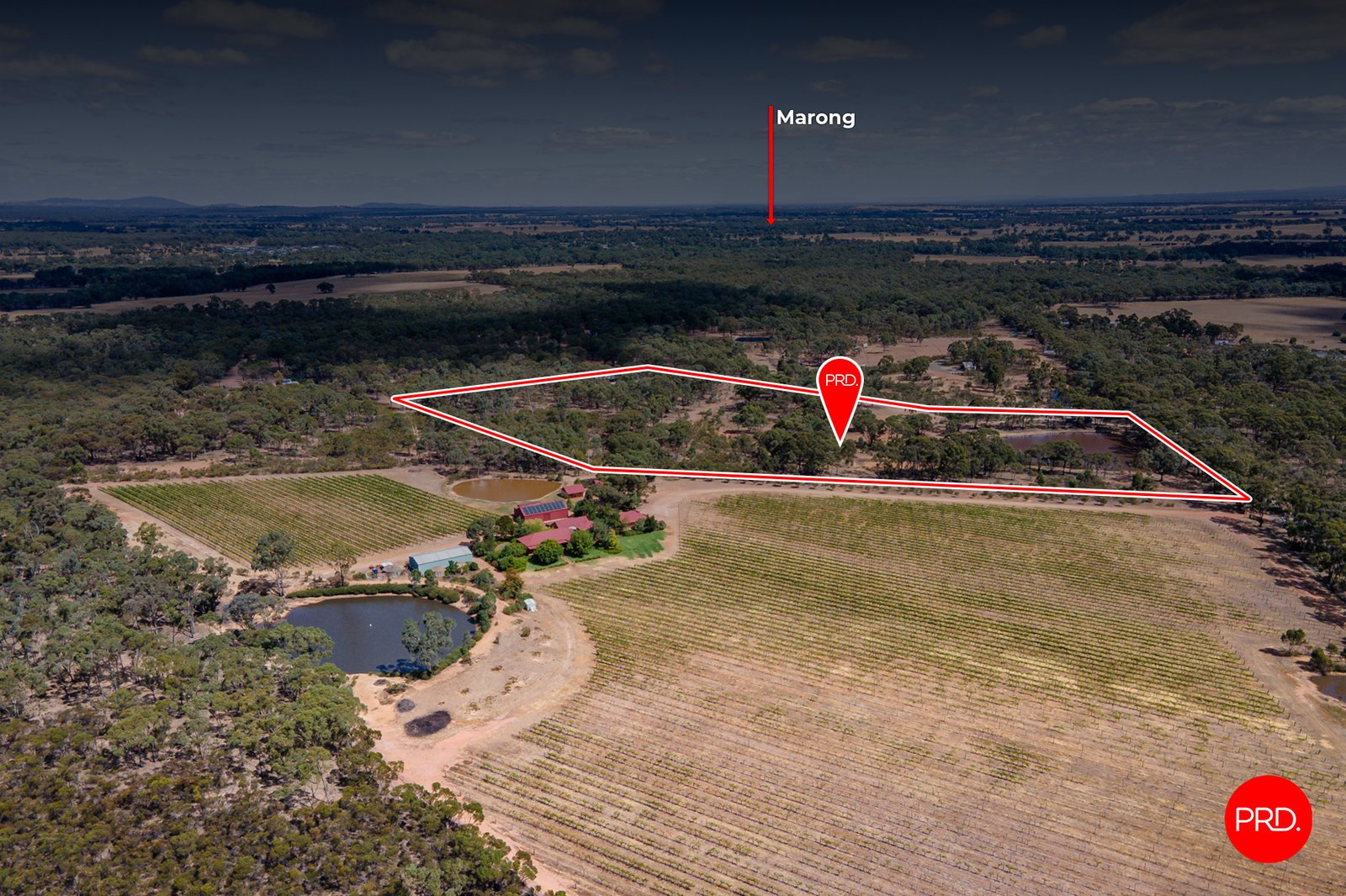 140 Forest Drive MYERS FLAT 6