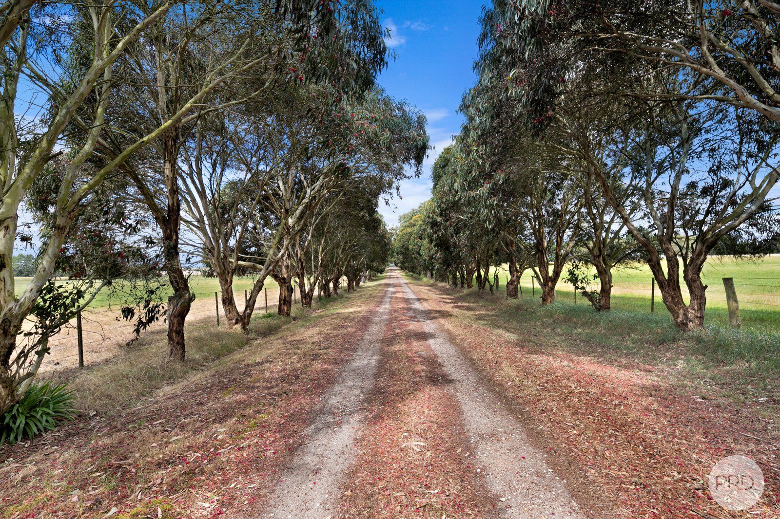 140 Hopes Lane SNAKE VALLEY 18