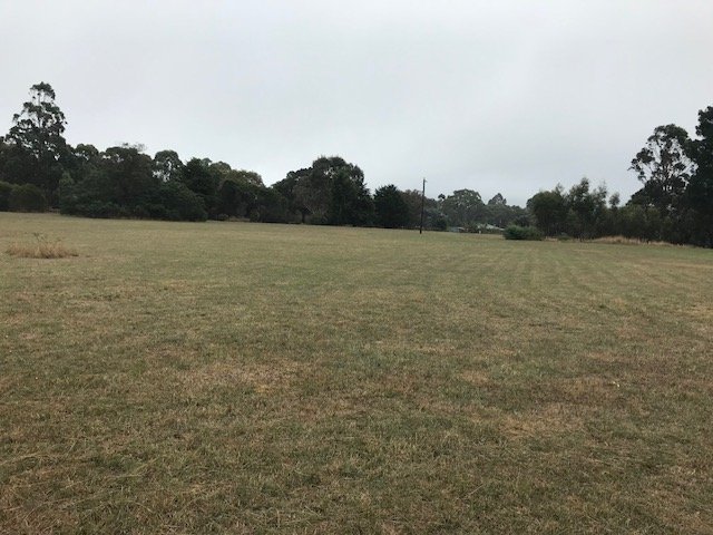 140 Snowgum Road DEREEL 6