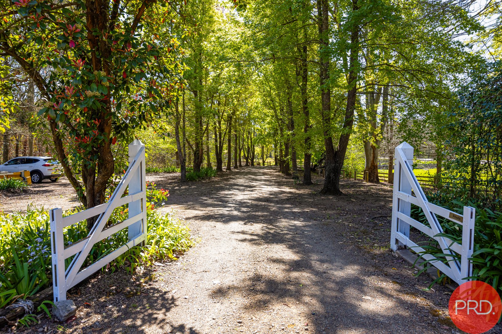 1402 Leggetts Drive BRUNKERVILLE 9