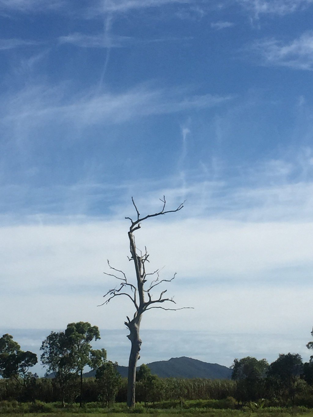 14025 Bruce Highway GREGORY RIVER 15
