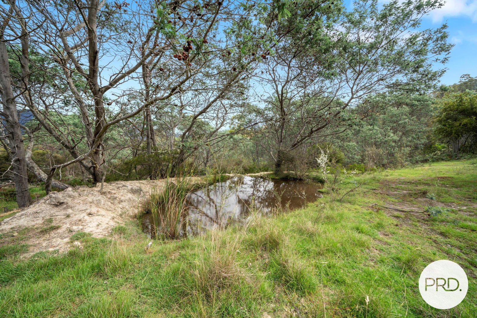 141 Millers Road LACHLAN 15