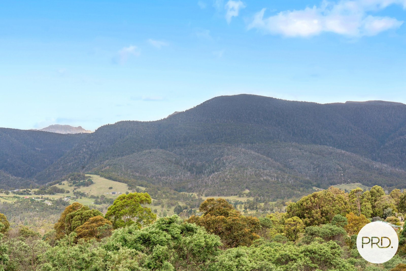 141 Millers Road LACHLAN 20