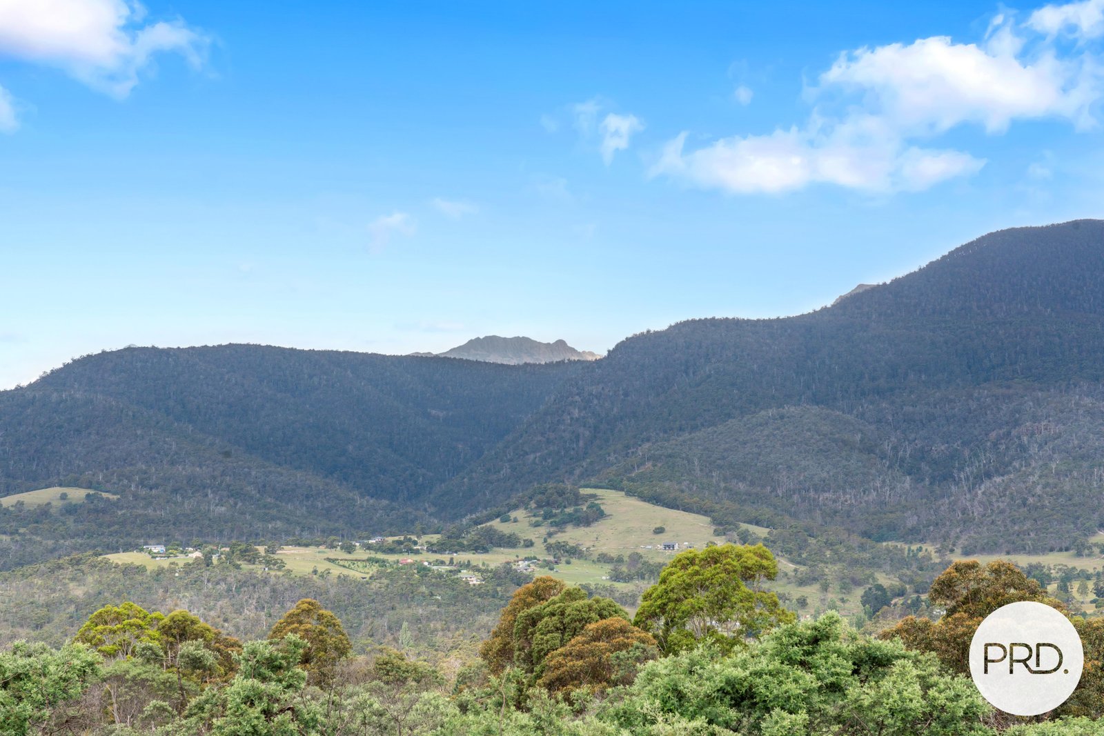 141 Millers Road LACHLAN 23