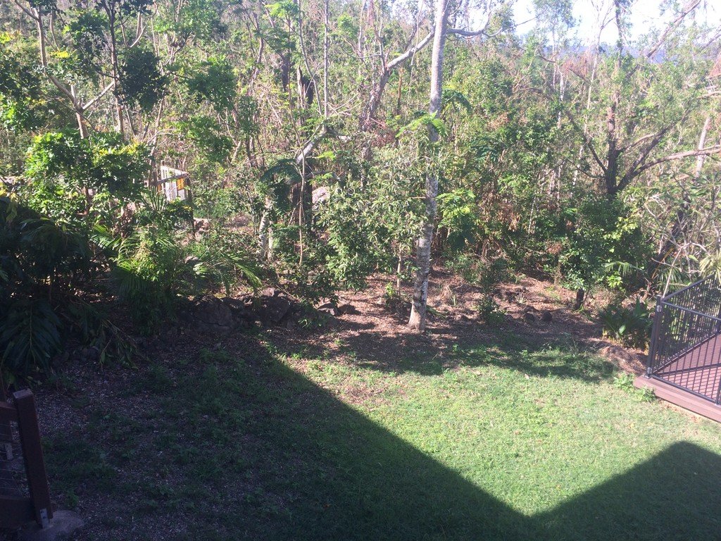 141 Parkland Drive WOODWARK 5