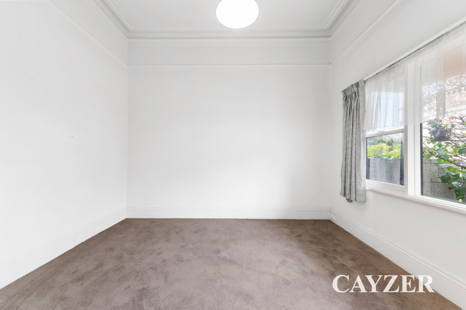 Gallery: 141 Pickles Street