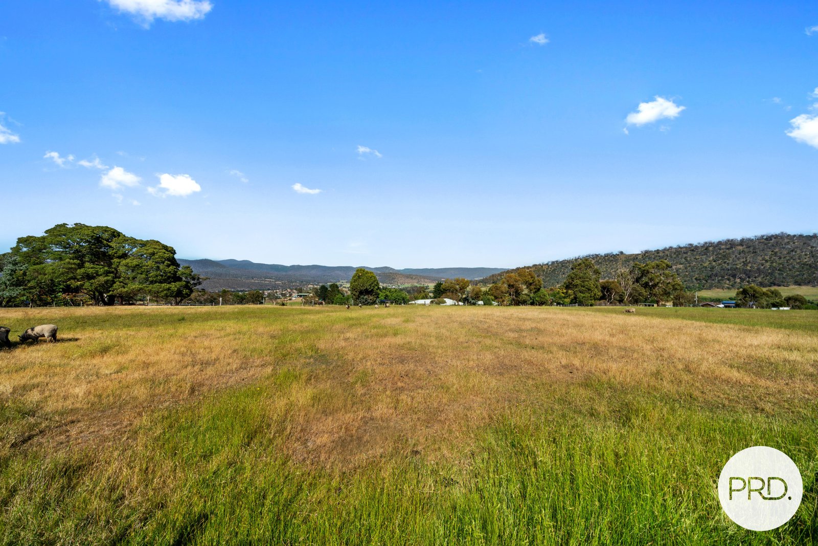 141 Saddle Road MAGRA 5