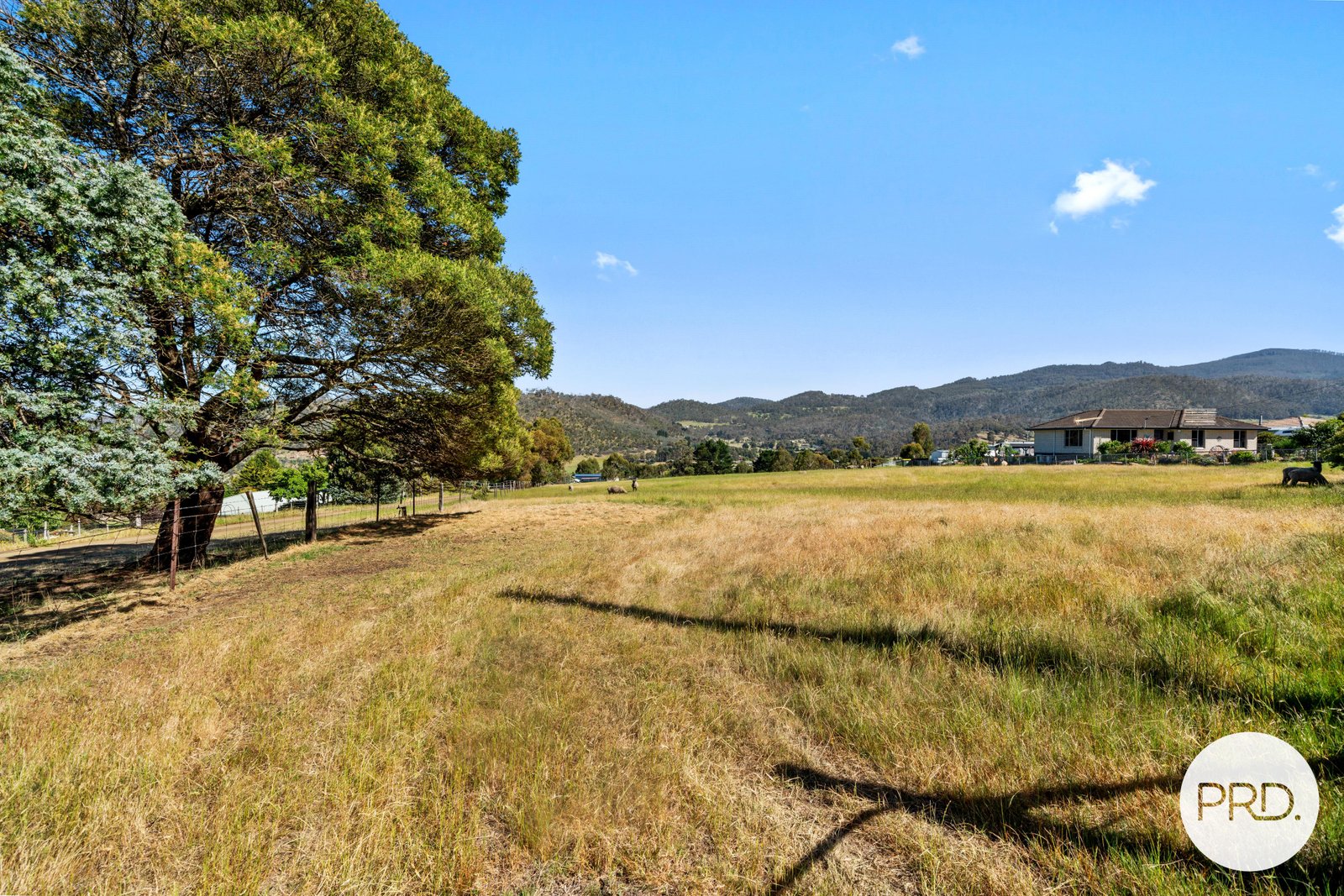 141 Saddle Road MAGRA 10