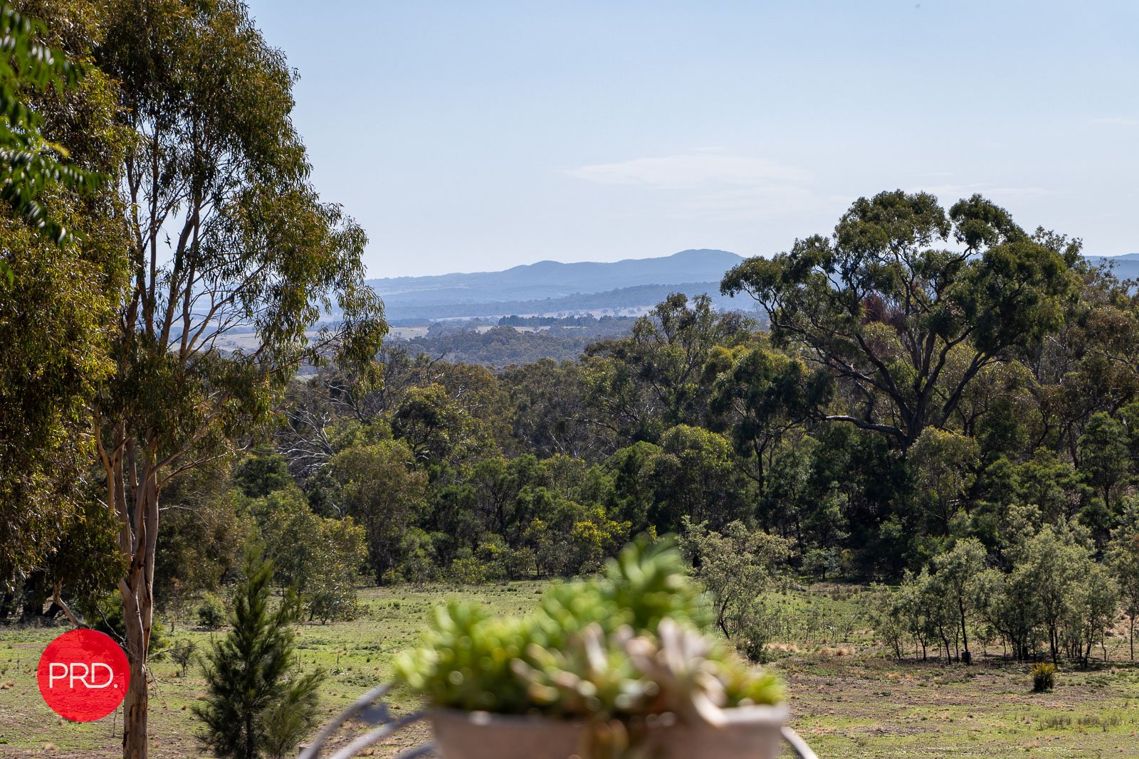 141 Shepherd Road BYWONG 7