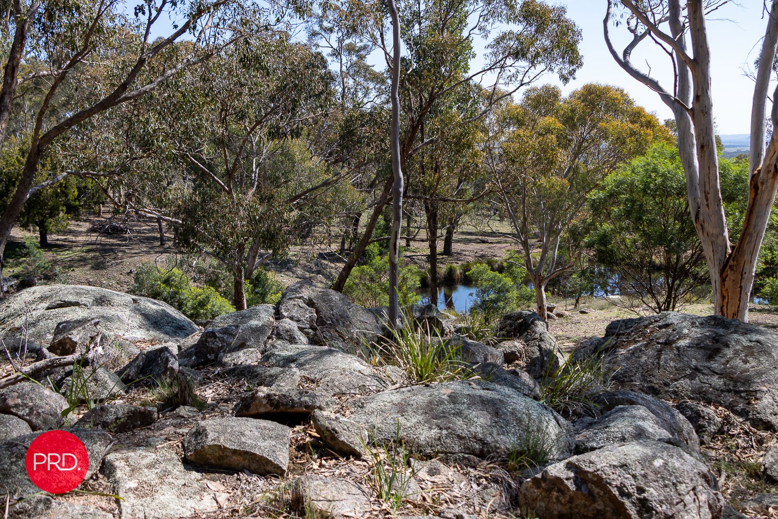 141 Shepherd Road BYWONG 31