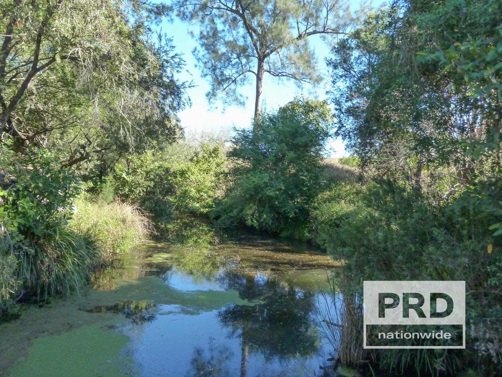 1411 Afterlee Road KYOGLE 1