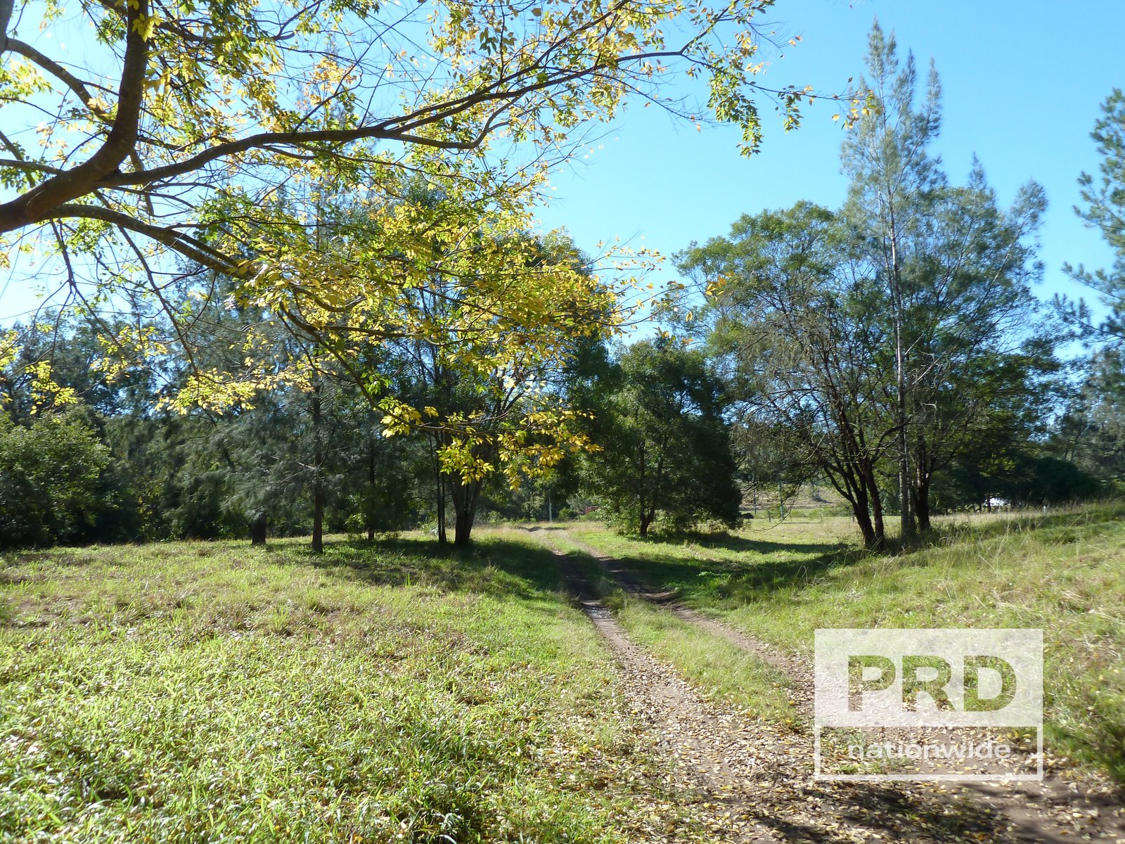 1411 Afterlee Road KYOGLE 2