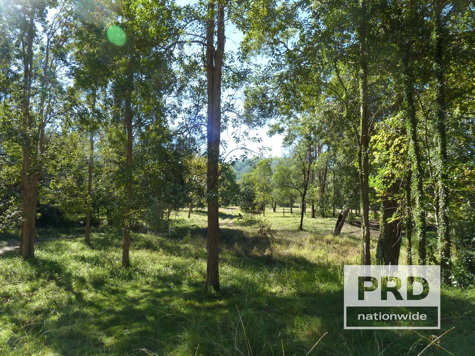 1411 Afterlee Road KYOGLE 3